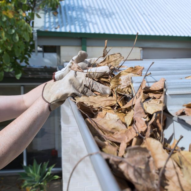 Gutter Cleaning