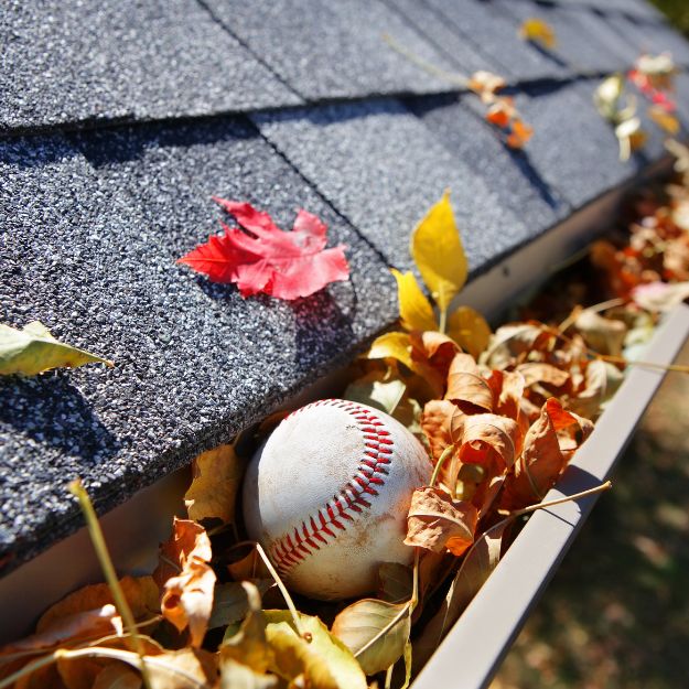 Gutter Cleaning